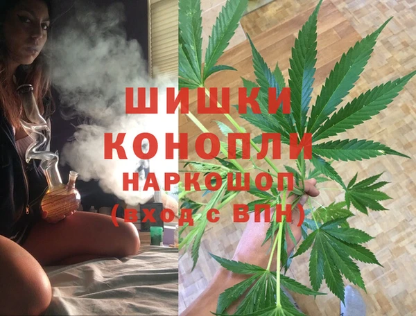 крисы Абаза