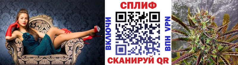 закладки  Нестеровская  Конопля THC 21% 